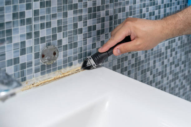 Reliable Monroe, MI Mold Remediation Solutions