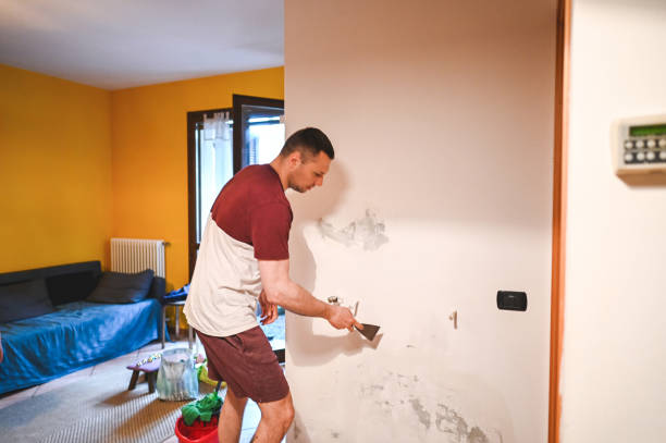 Best Residential Mold Remediation in Monroe, MI